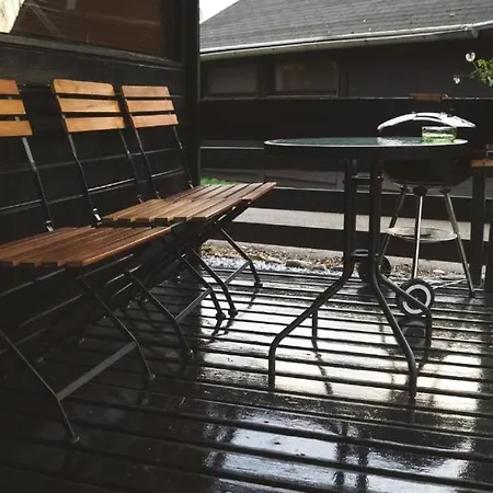 Lucky קטז אוב סבי