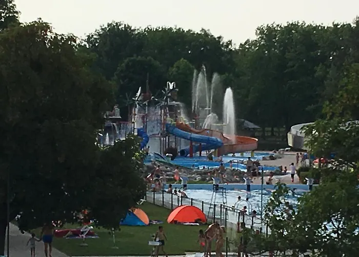 Lucky * קטז אוב סבי