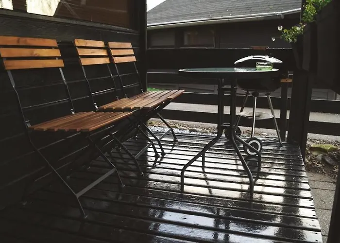 Lucky קטז אוב סבי